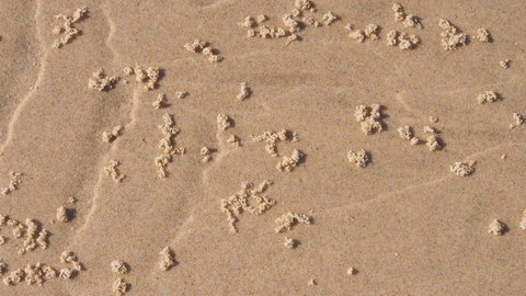 Bundle Hill Cottages - New South Wales Tourism  4