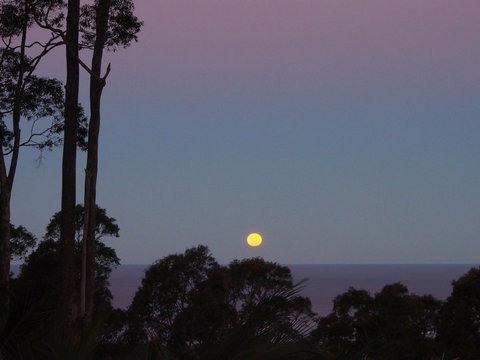 Bundle Hill Cottages - New South Wales Tourism  36