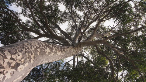 Bundle Hill Cottages - New South Wales Tourism  20