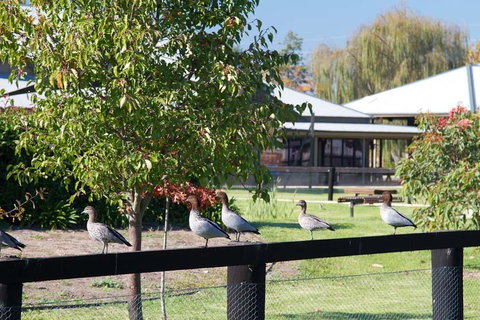 Potters Apartments - New South Wales Tourism  25