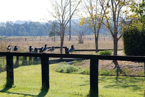 Potters Apartments - New South Wales Tourism  24
