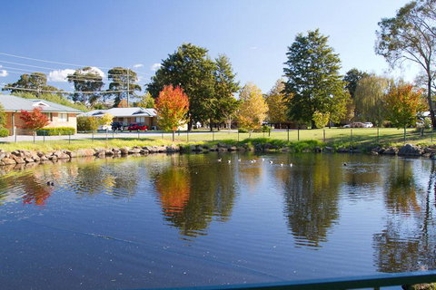 Potters Apartments - New South Wales Tourism  39
