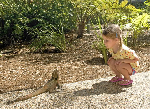 Flynns Beach Resort - New South Wales Tourism  16