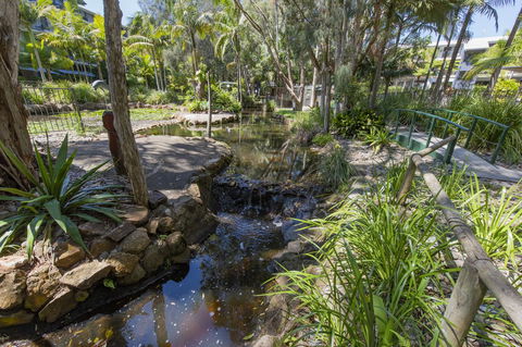 Flynns Beach Resort - New South Wales Tourism  13