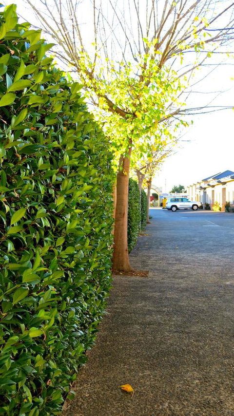 Best Western Plus Goulburn - New South Wales Tourism  37