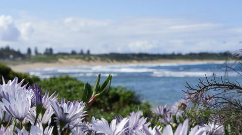 Blue Lagoon Beach Resort - New South Wales Tourism  18
