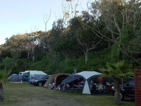 Blue Lagoon Beach Resort - New South Wales Tourism  19