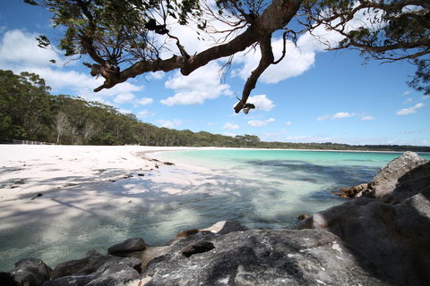 The Edgewater On Greville - New South Wales Tourism  36