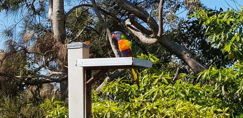 The Edgewater On Greville - New South Wales Tourism  15