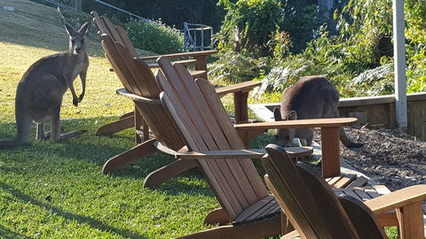 The Edgewater On Greville - New South Wales Tourism  18