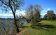 Terara Riverside Retreat - thumb 29