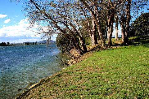 Terara Riverside Retreat - New South Wales Tourism  32