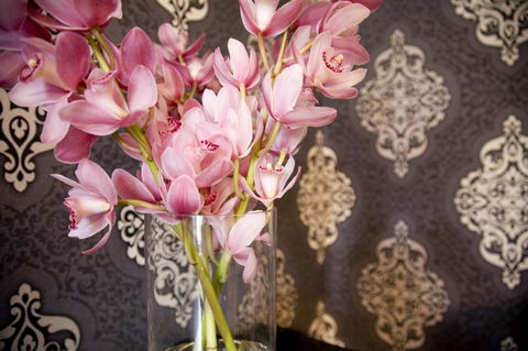 Hotel Challis Potts Point - New South Wales Tourism  14