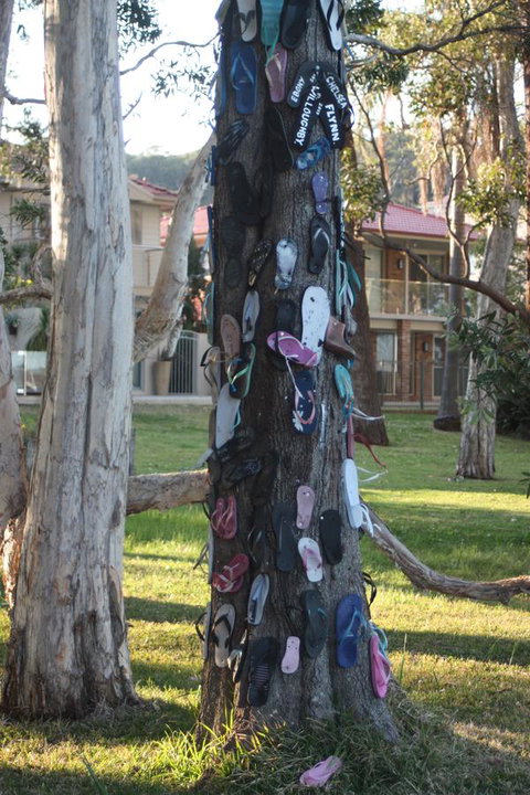 Ambience - New South Wales Tourism  33