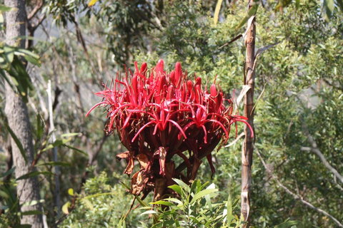 Ambience - New South Wales Tourism  30