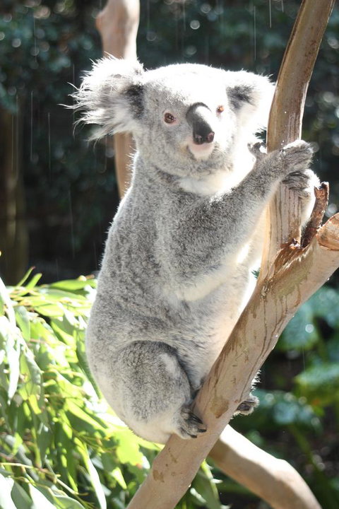 Ambience - New South Wales Tourism  27