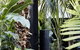 The Bower Byron Bay - thumb 12