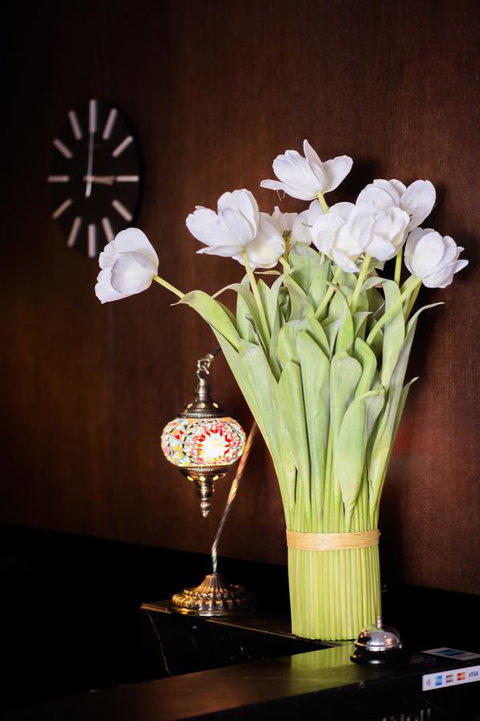 Kirketon Hotel Sydney - New South Wales Tourism  24