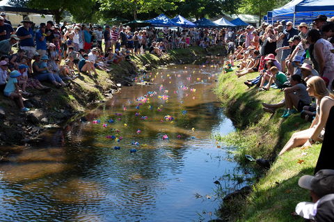 Pound Creek Gallery - New South Wales Tourism  15