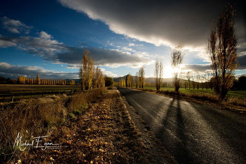 Pound Creek Gallery - New South Wales Tourism  19