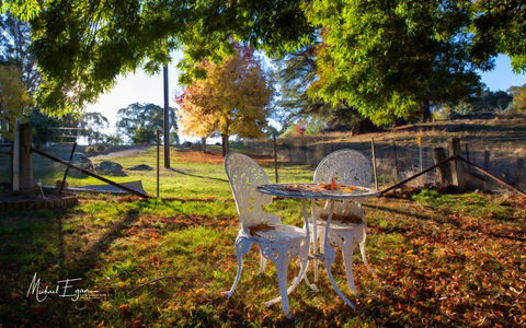 Pound Creek Gallery - New South Wales Tourism  27