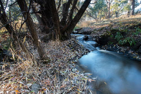 Pound Creek Gallery - New South Wales Tourism  26