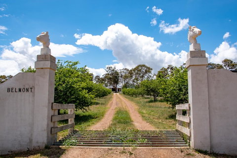 Belmont - New South Wales Tourism  5