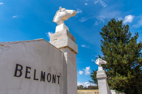 Belmont - New South Wales Tourism  4