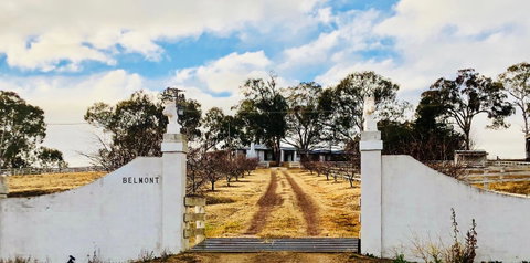 Belmont - New South Wales Tourism  26