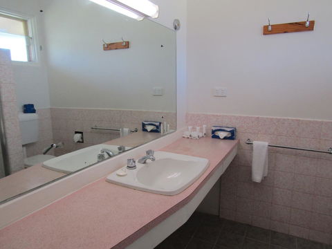 Allonville Gardens Motel - New South Wales Tourism  29