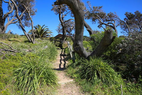 Abode @ Culburra - Pet Friendly - 4 Mins To Beach - New South Wales Tourism  25