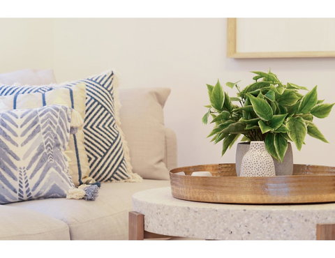 Huge Garden Apartment In The Heart Of Bondi Beach - New South Wales Tourism  16