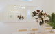 Huge Garden Apartment In The Heart Of Bondi Beach - thumb 17