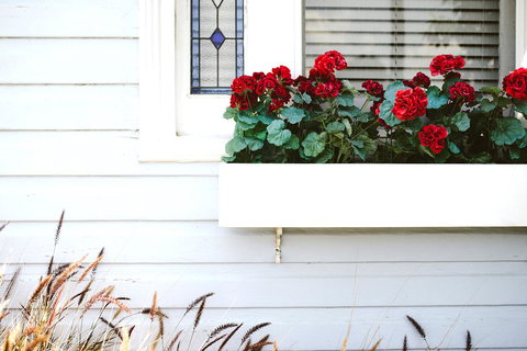 Morpeth Cottage - New South Wales Tourism  41