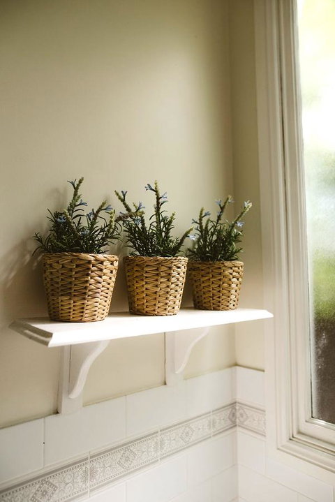 Morpeth Cottage - New South Wales Tourism  31