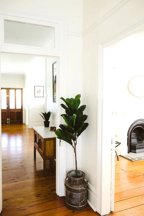 Morpeth Cottage - New South Wales Tourism  3