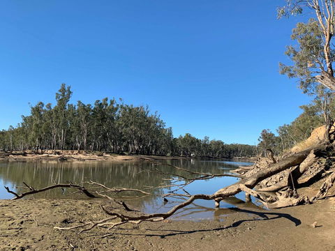 Corowa Bindaree Holiday Park - New South Wales Tourism  1