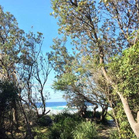 Salthouse Berrara - New South Wales Tourism  22