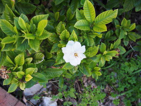 Bellevue Accommodation - New South Wales Tourism  21