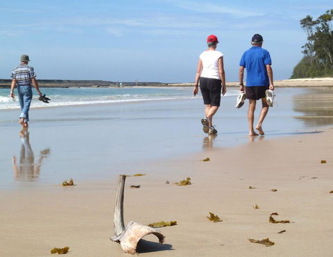 Mollymook Surfbeach Motel & Apartments - New South Wales Tourism  13