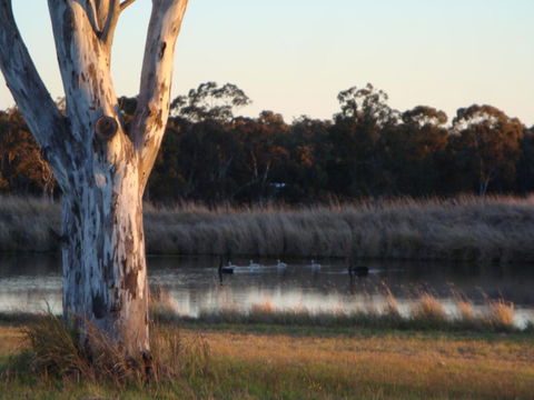 Adina Vineyard - New South Wales Tourism  10