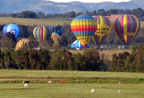 Adina Vineyard - New South Wales Tourism  9