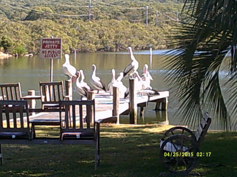 Pelican H2O One & Two Bedroom Apartments - New South Wales Tourism  9