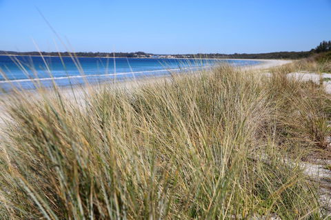 Sandy Toes Beach House Jervis Bay - 2min To Beach - New South Wales Tourism  23