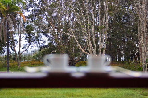 Estoy Cabarita - New South Wales Tourism  6