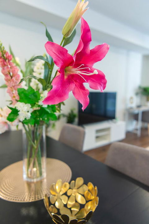Sydney CBD Brand New Apartments With Hyde Park View - New South Wales Tourism  6