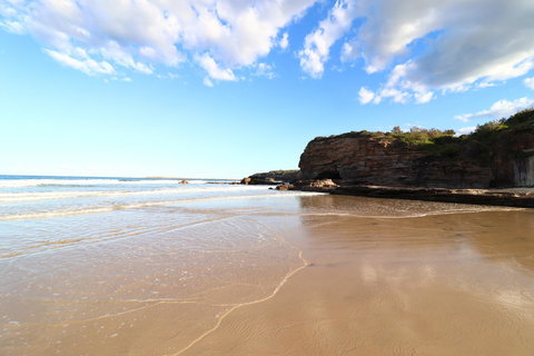 Coastal Horizons Beach House - New South Wales Tourism  16