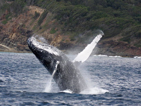 Braemar 9 - New South Wales Tourism  8