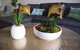 New SilkRoad Apartments Sydney - thumb 25