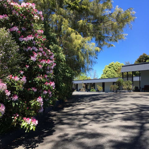 Sky Rider Motor Inn - New South Wales Tourism  24